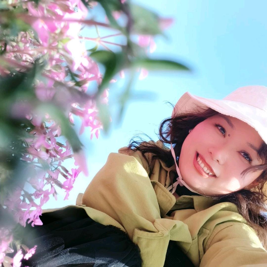 英山家具燕子