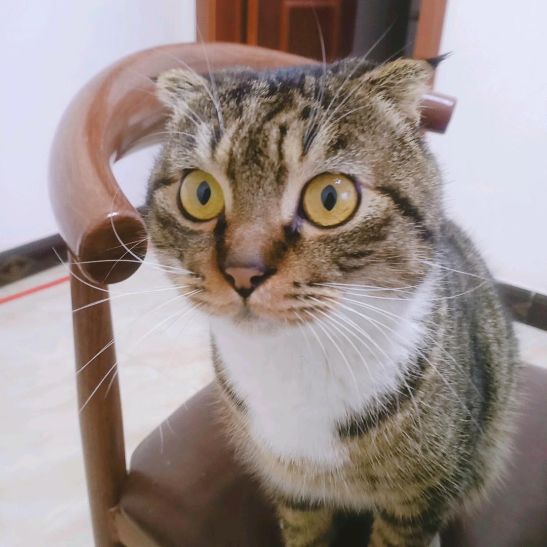 最美的遇见