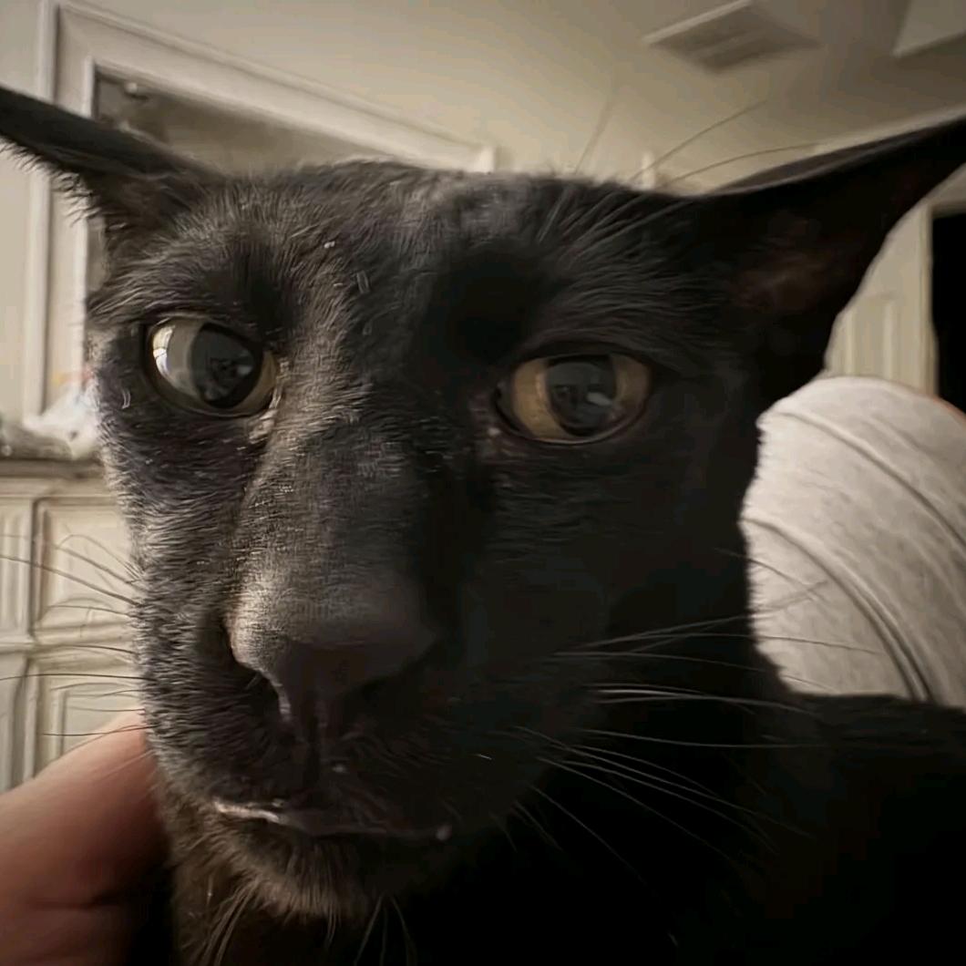 超雄老奶半夜抠脚皮喂给诡秘