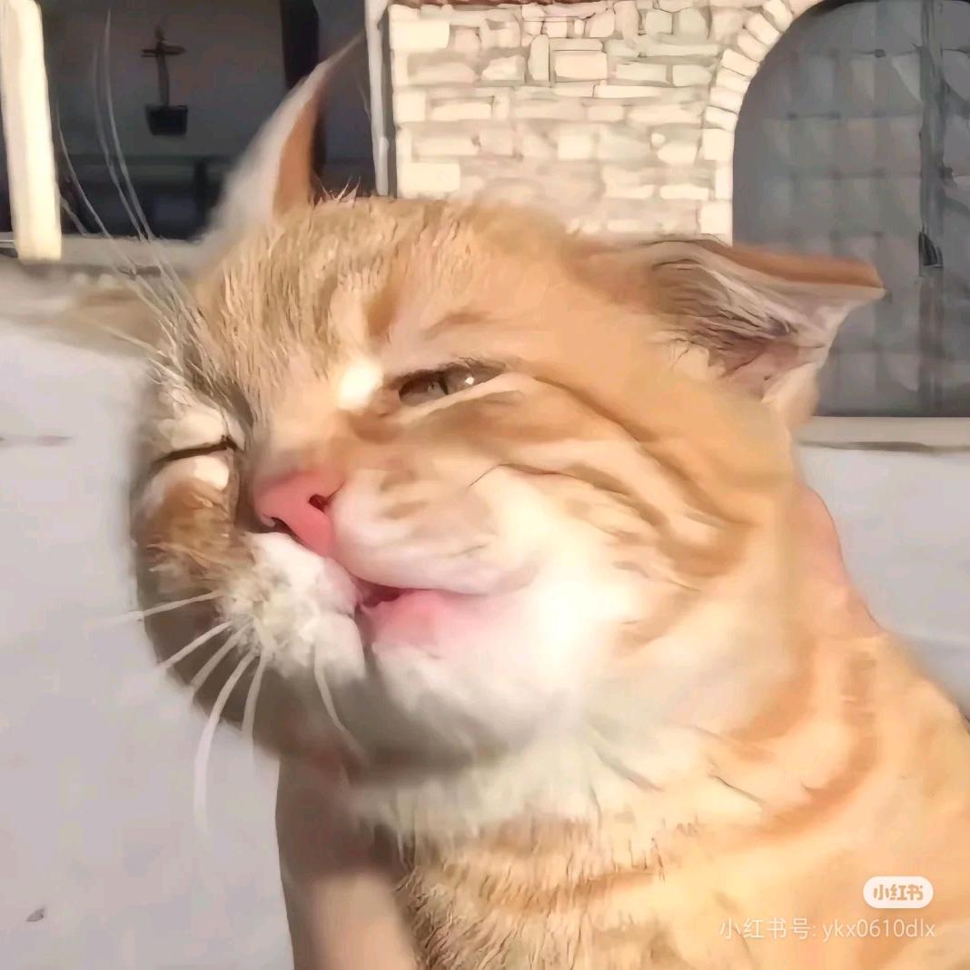婉
