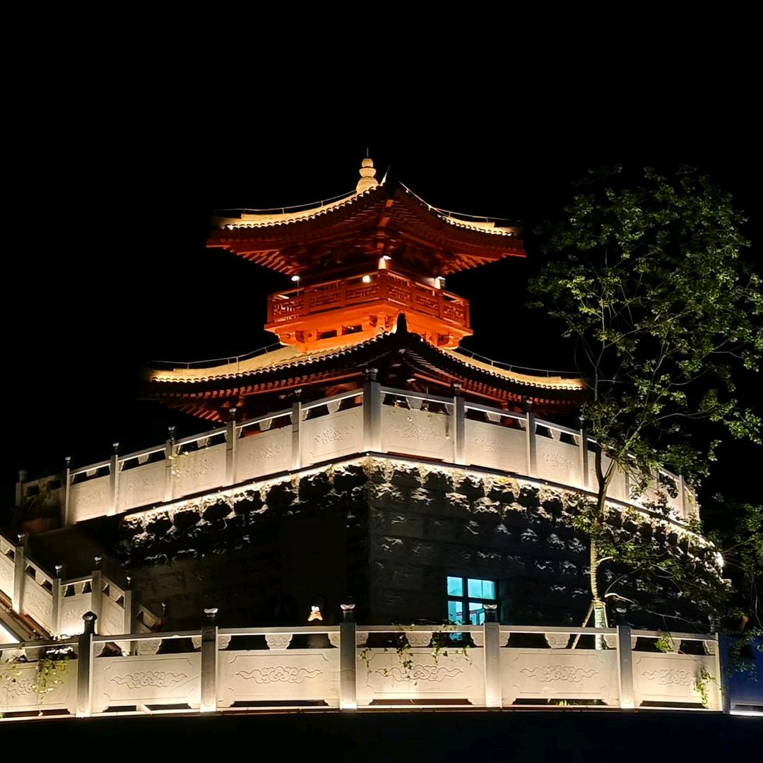 小理陪你说说话