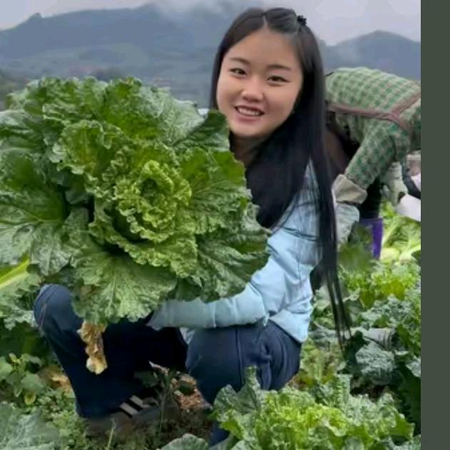 泰山特效