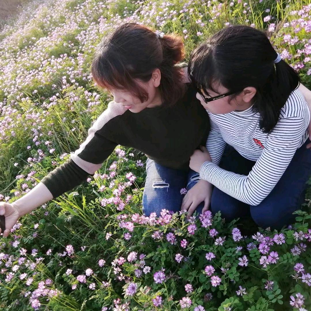 就是龙姐姐