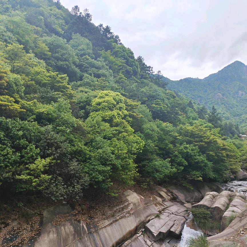 ❤️风雨🎶钱行❤️