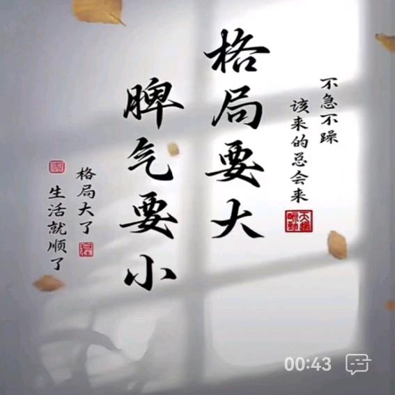 龙哥