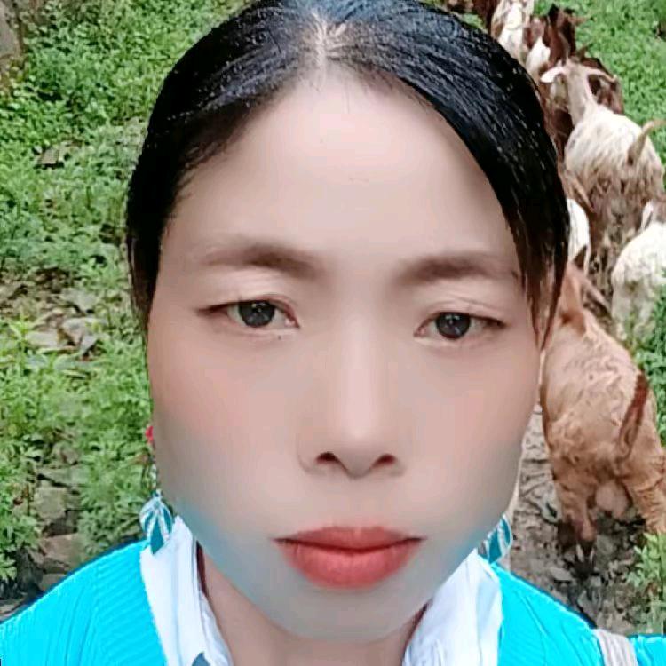 放羊妹
