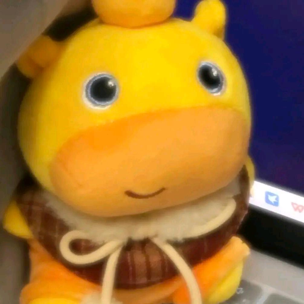 L.  