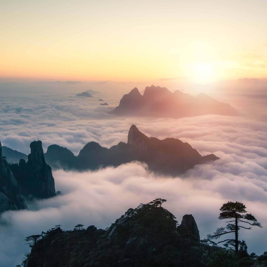 李海
