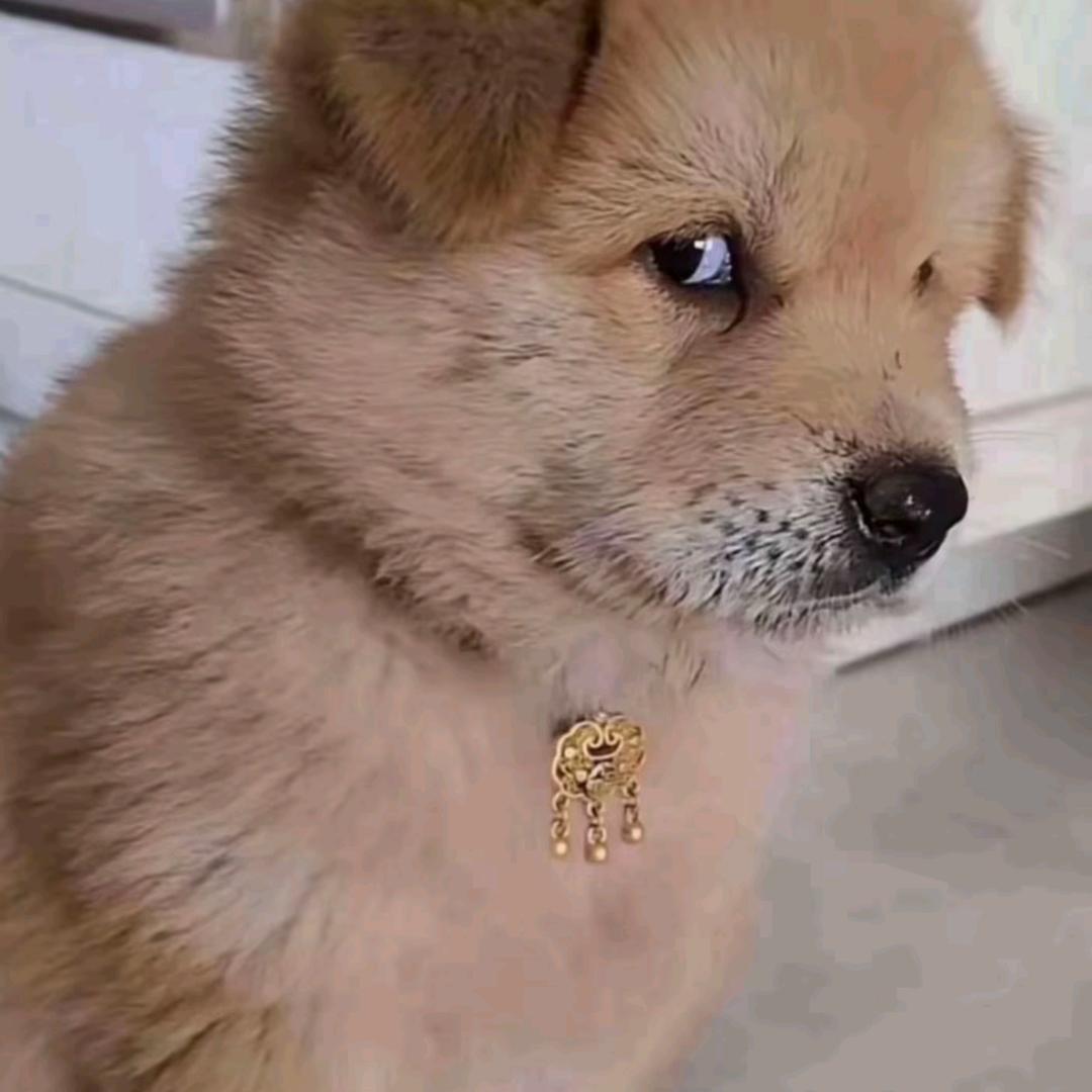 奋斗