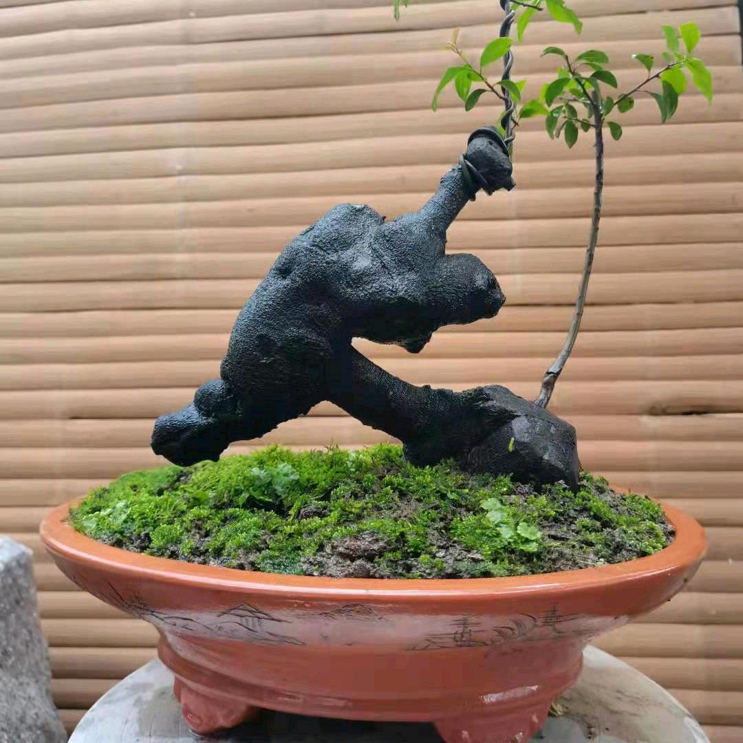 马脑园艺