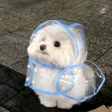 怜