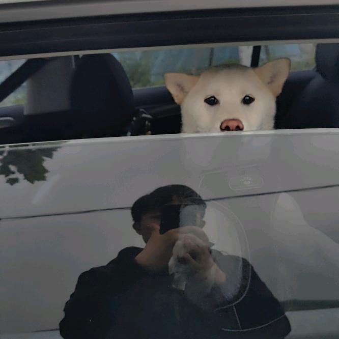 幸福的小袅