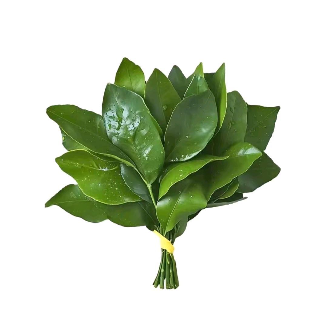冬至