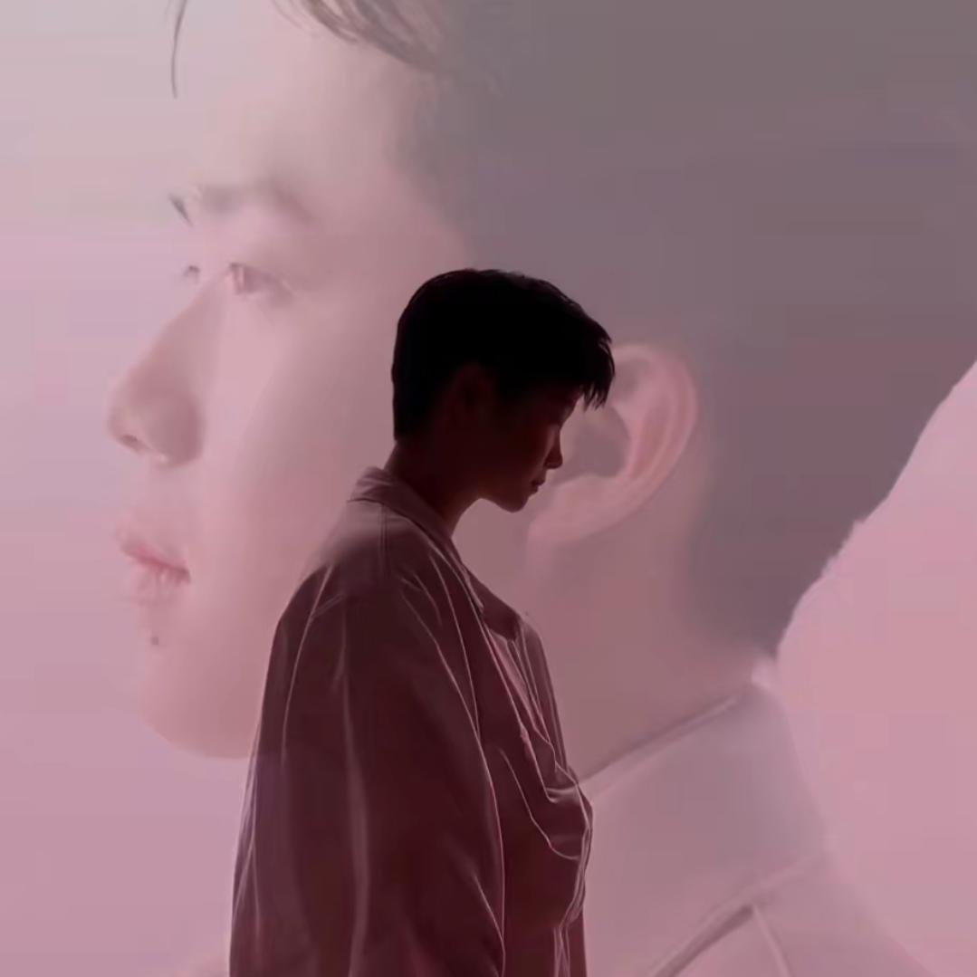 小布丁🦈🍟🦁