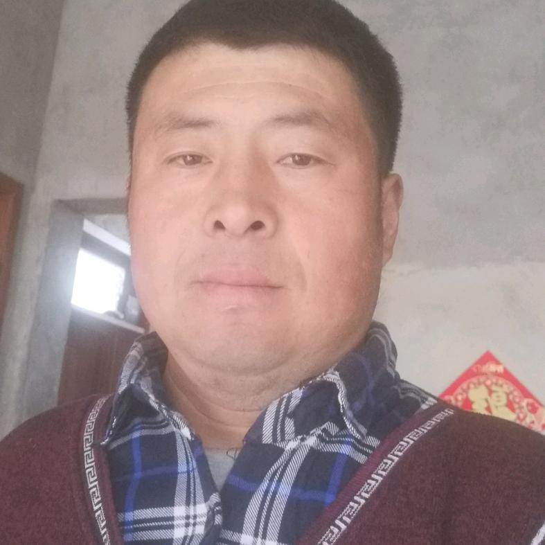 鸿运当头，幸福满满