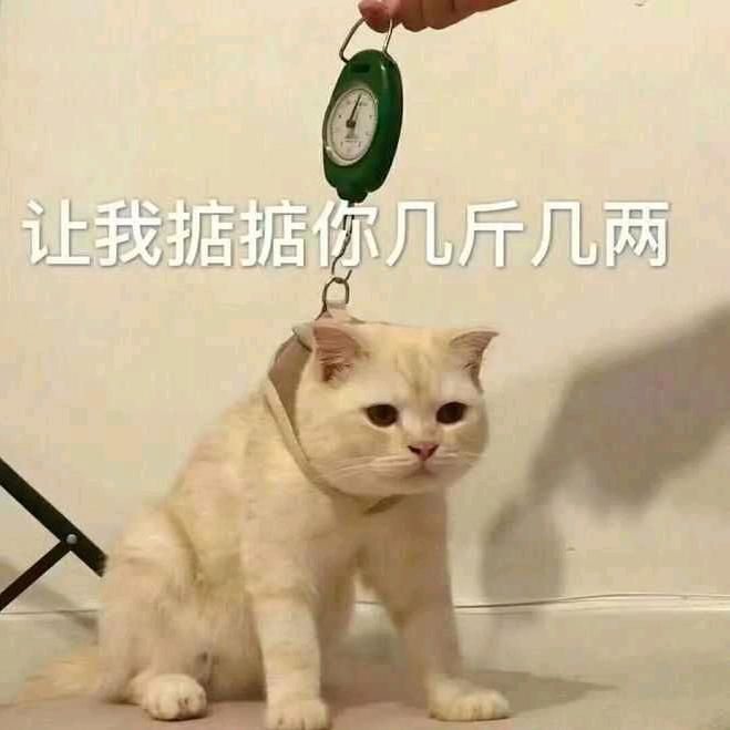 西洲的月亮
