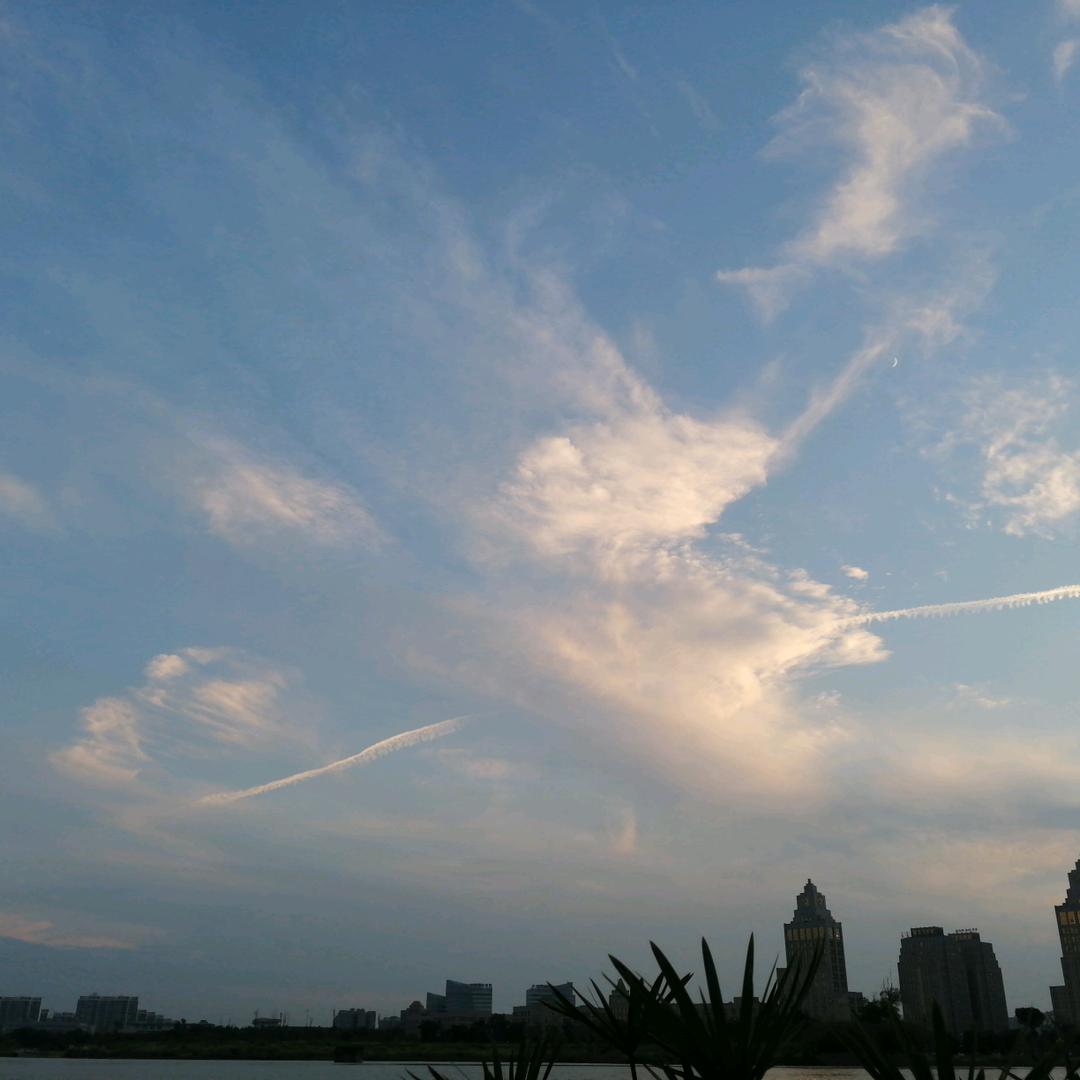 杨枝甘露头像