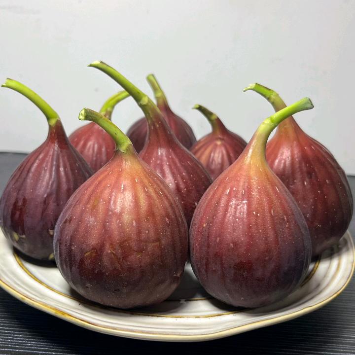 田野生态农业