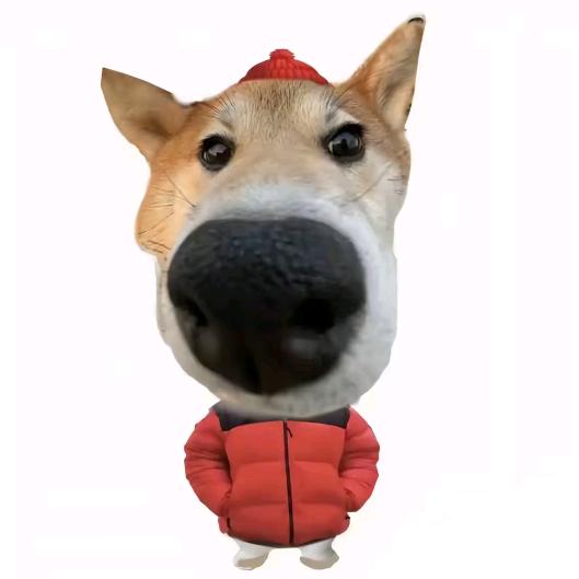 今天的第六遍