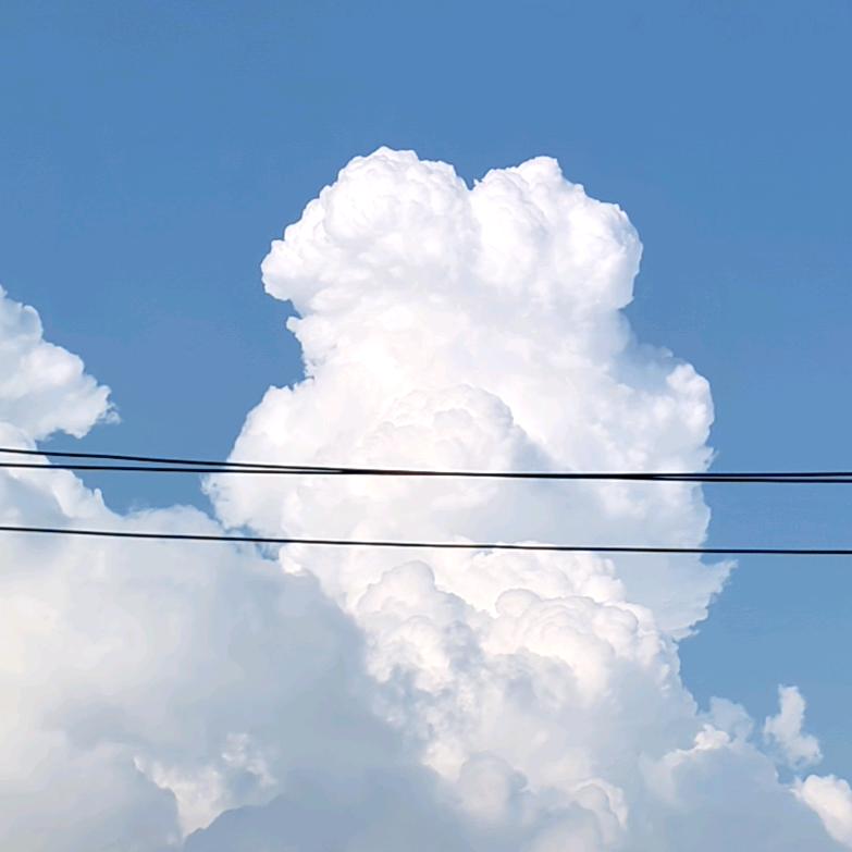 $繁华哀伤终成过往&