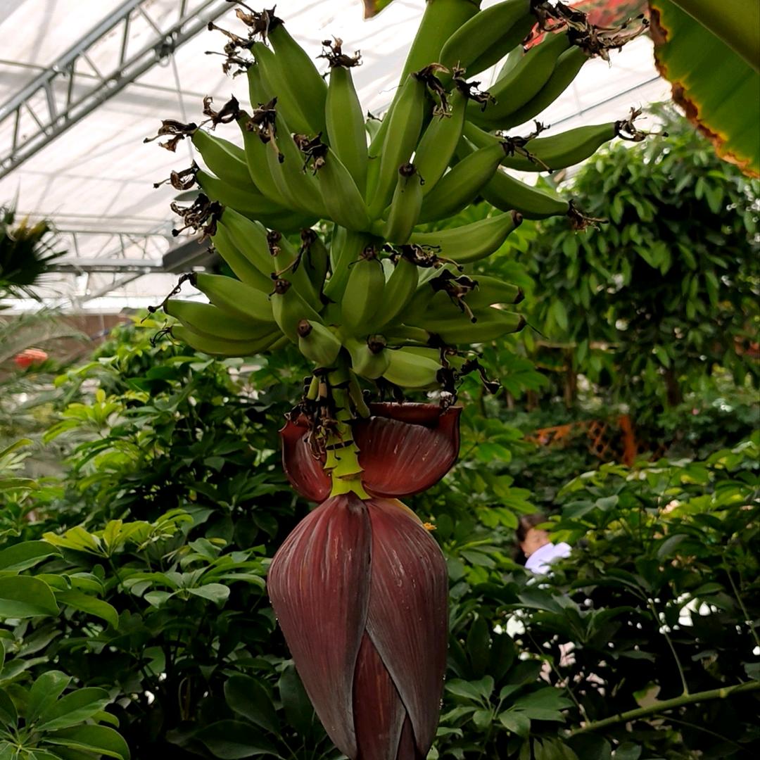 相逢只是上上签。