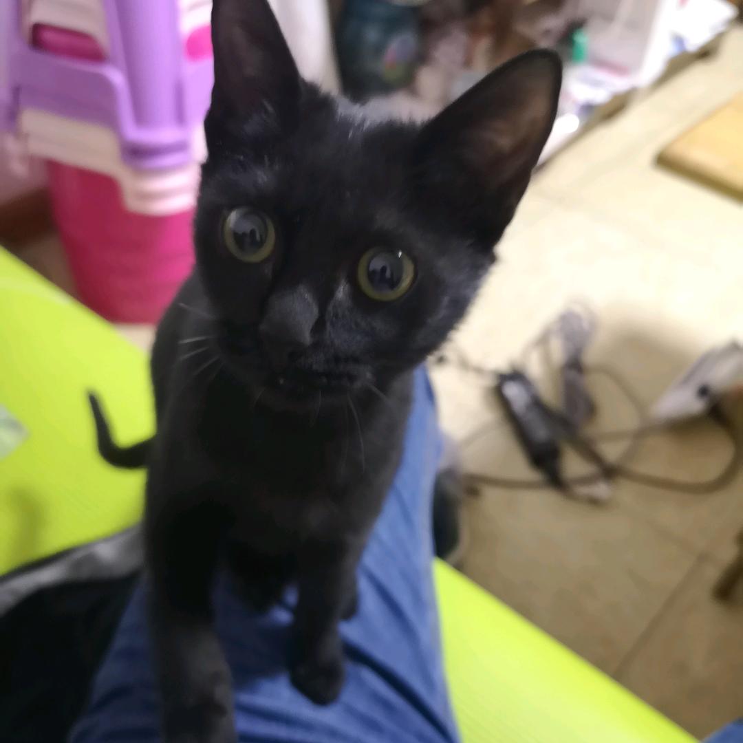 择一城终老，许一人白头