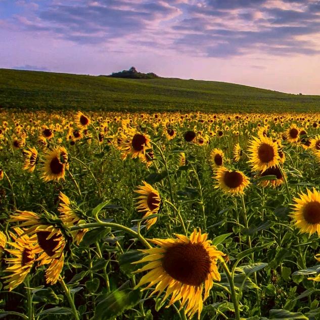 港福卫浴洁具有限公司