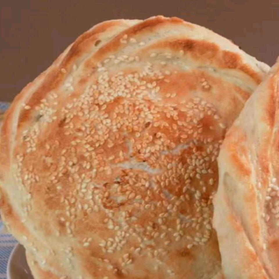 濮阳鸡窝炉烧饼