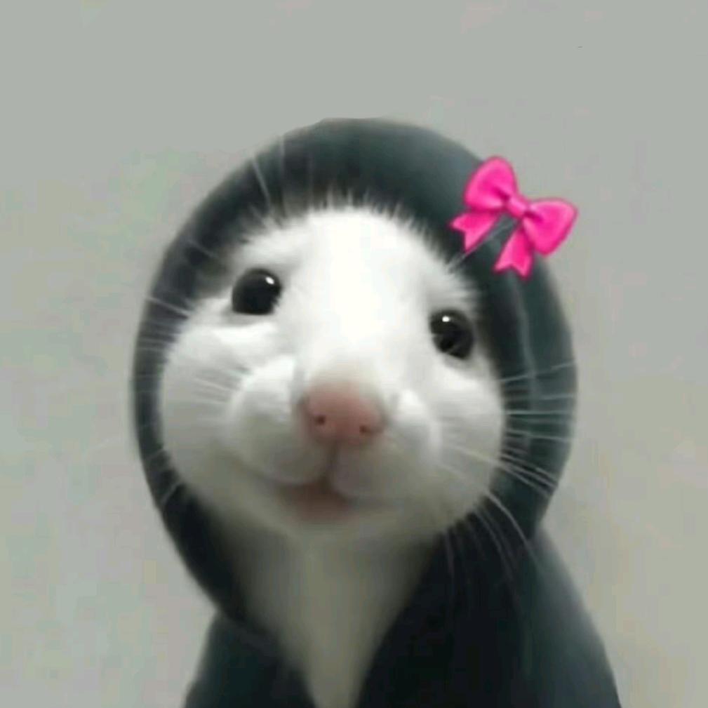 °小美°