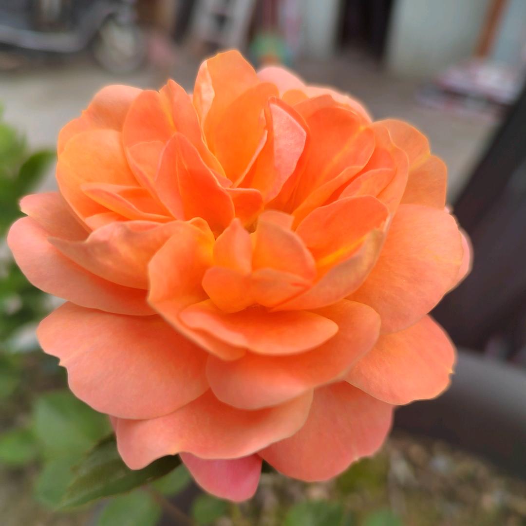 惜缘珍惜