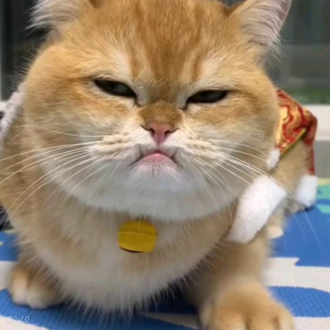 青花