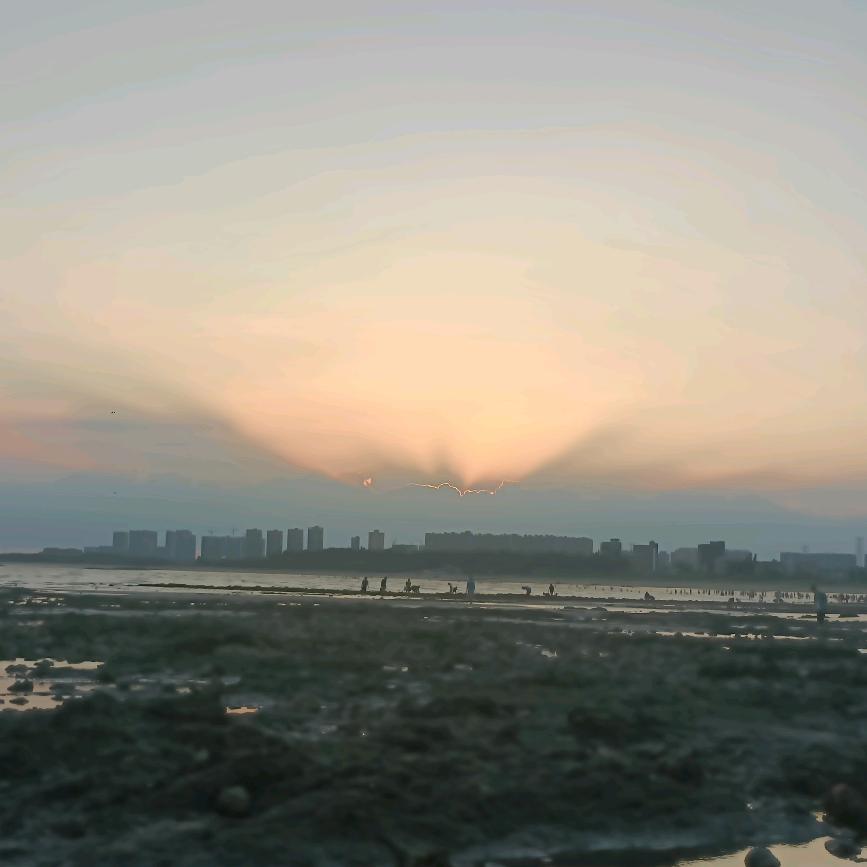 小鱼鱼