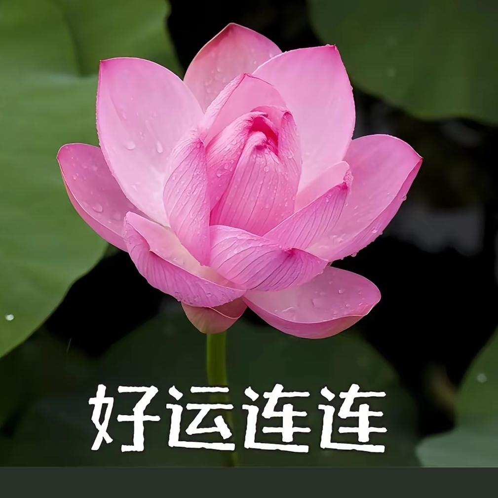 潮汕靓汤
