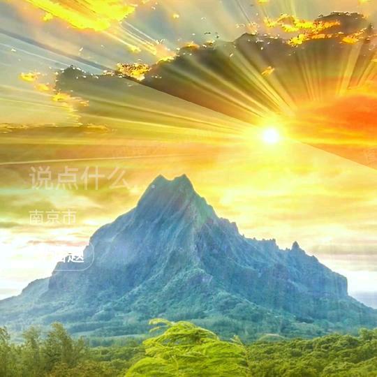 沧海☪之心🍁🍁