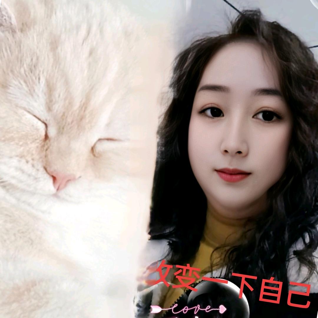 童话里的猫🐱