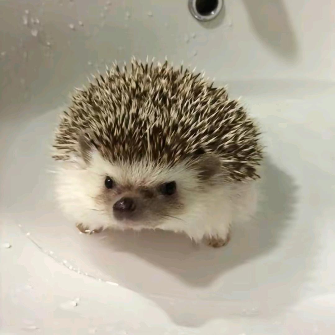 睡眠决定发型