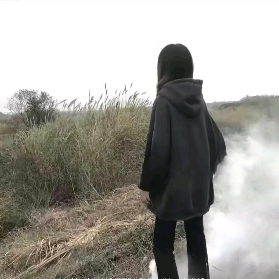 —————涛哥
