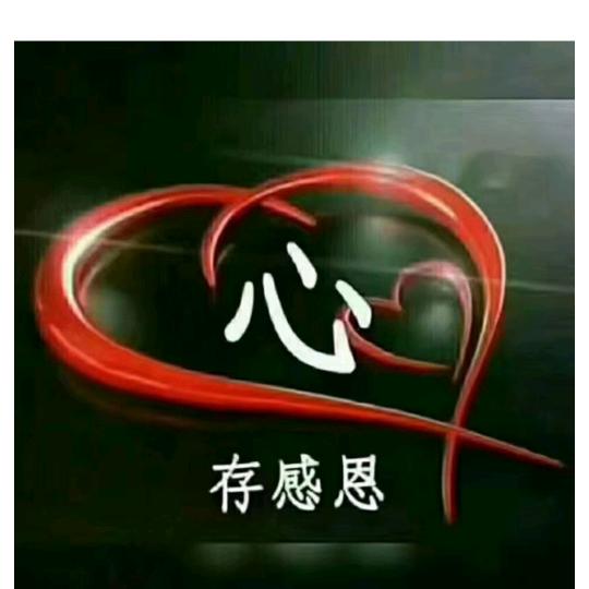 史宾格七星仔
