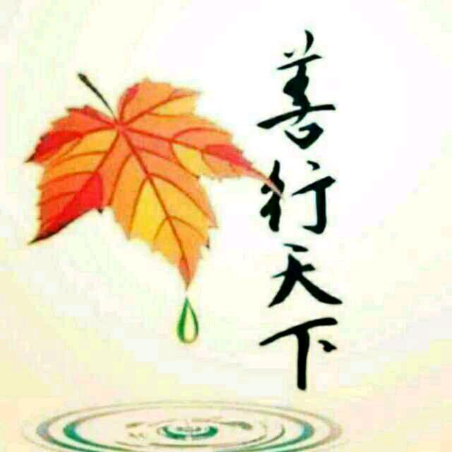 善缘_