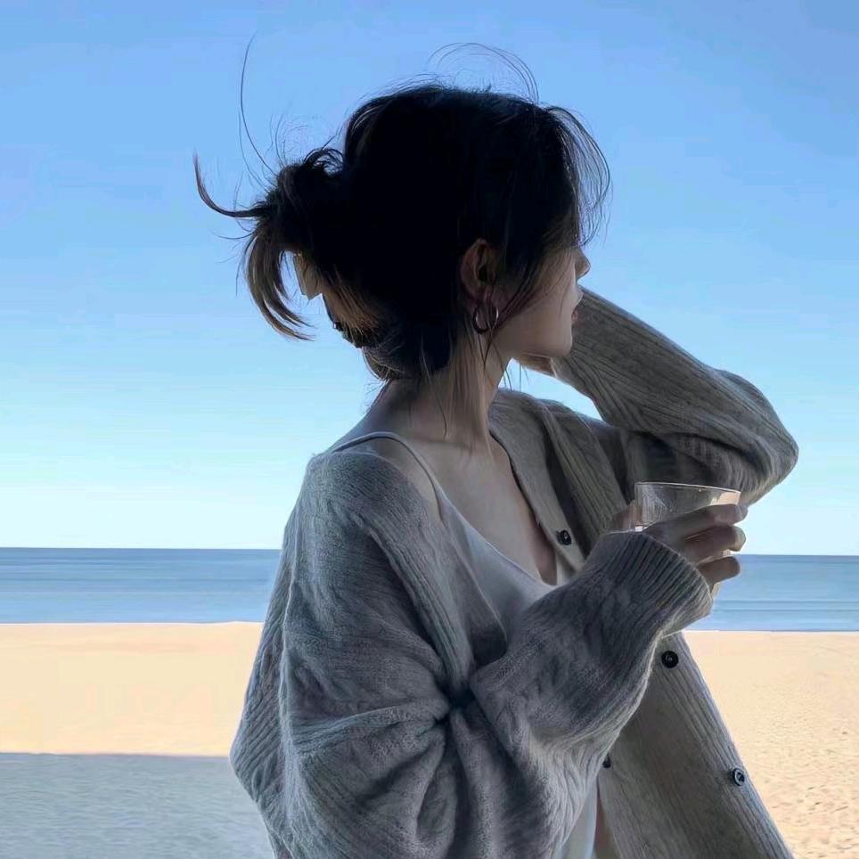 清清旅行1188V