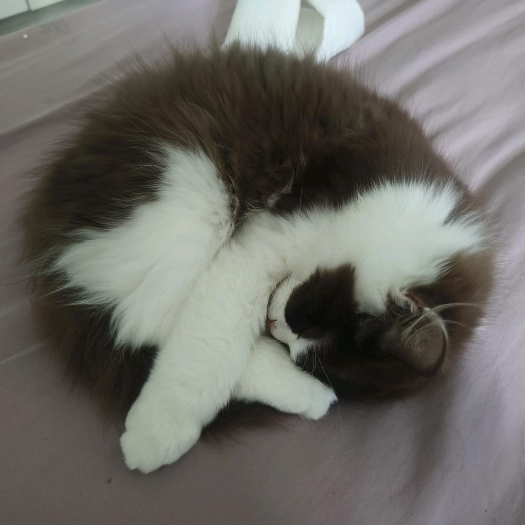 一迂.