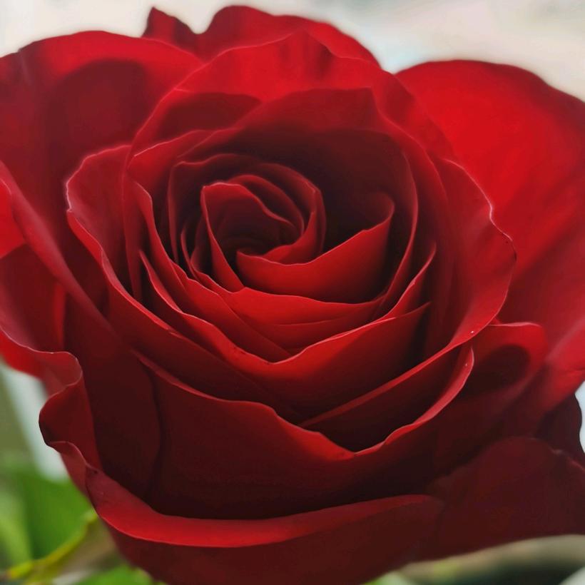 苦瓜伴着糖也是美食