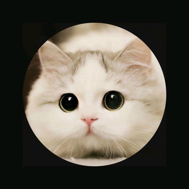 萌宠小宝贝