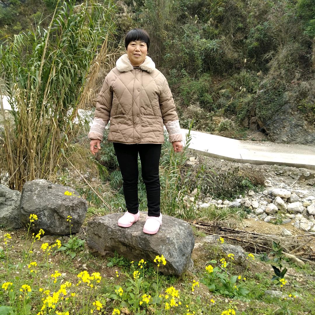 李术清