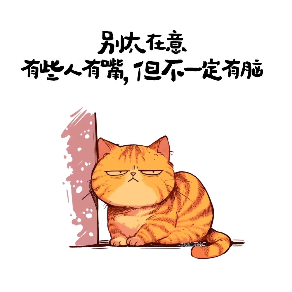 流星花园✪ω✪