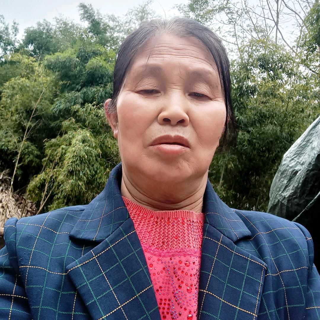 朱自珍每天下午2:10分开播