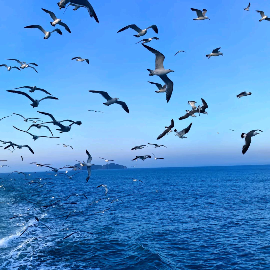 五星红旗🇨🇳