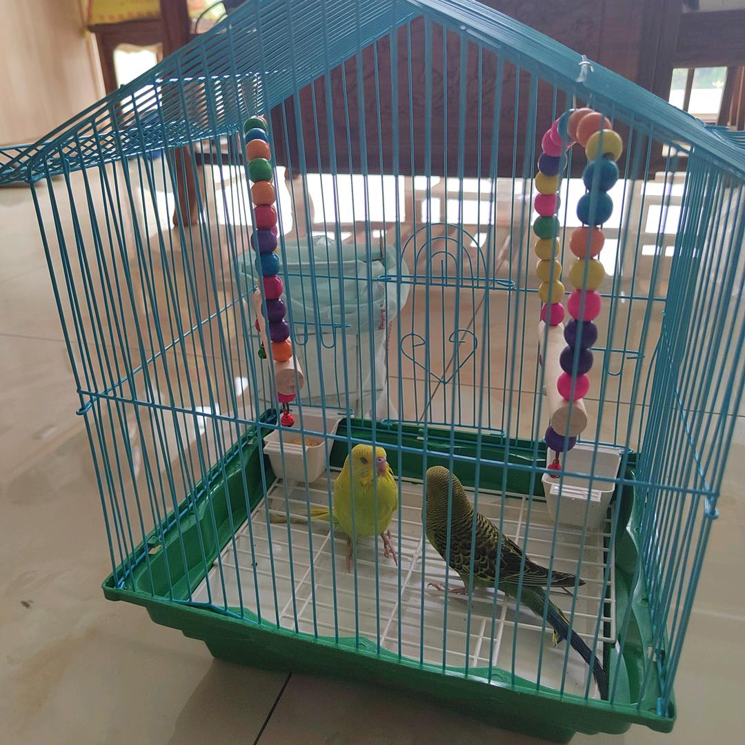 秀