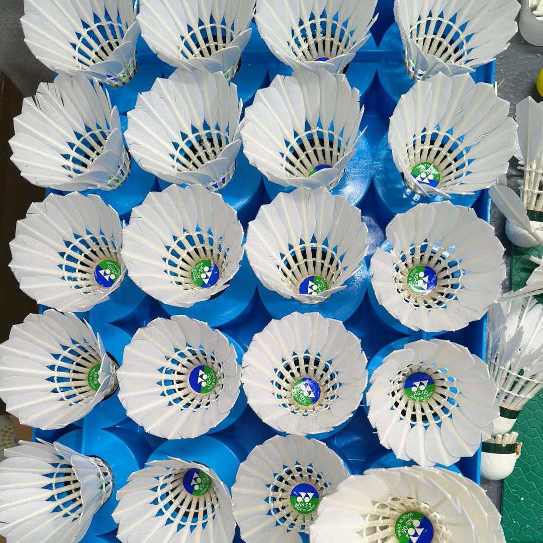 羽毛球勾线修复