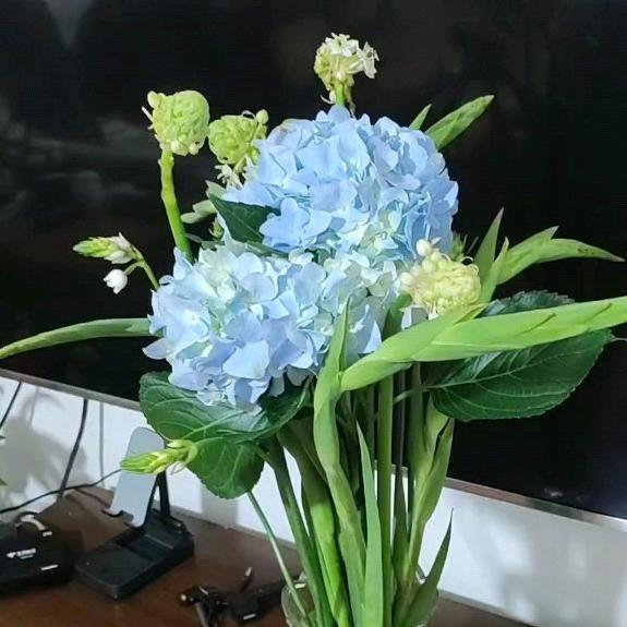 静听弦音